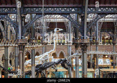 The interior decorated metal arches of the Natural History Museum, Oxford, England Stock Photo