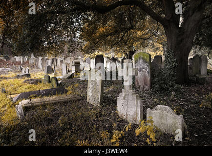 Old spooky crowded graveyard in Autumn / Fall with many headstones and crosses Stock Photo