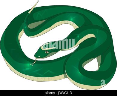 Snake with green skin vector illustration fear picture Stock Vector