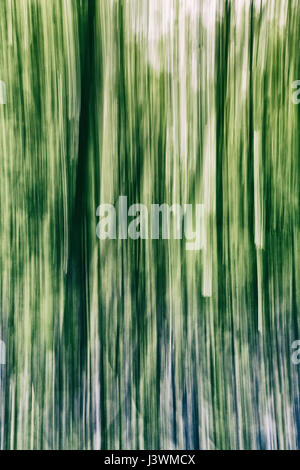 Abstract forest background in green and purple tones. Vertical lines vintage filter applied Stock Photo