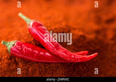 chili red hot pepper, concept of popular spice - closeup on two delicious juicy pods of chili red pepper isolated over the top of red curry powder, top view, flat lay, selective focus. Stock Photo