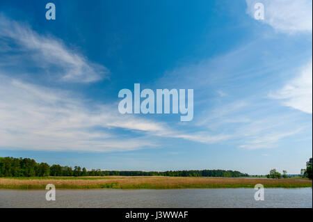 USA Virginia VA Jamestown Sandy Bay in the Black River wetland Stock Photo