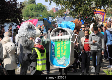 Seething Freshwater Sardine Festival. Seething Wells, Surbiton, Greater London, UK. 7th May 2017. Tongue-in-cheek celebration of freshwater sardine fishing in the River Thames with shanties sung as the Mighty Catch is landed at Queen's Promenade and then paraded to Claremont Gardens. A sardine BBQ, local-produce stalls and live bands complete this fishy entertainment. Organised to raise funds for local youth projects. Part of the Surbiton Food Festival. Credit: Ian Bottle/Alamy Live News Stock Photo