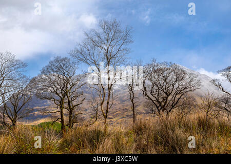 Scenic natural beauty in Glen Coe; a glen of volcanic origins, in the Scottish Highlands, Scotland, United Kingdom. Stock Photo