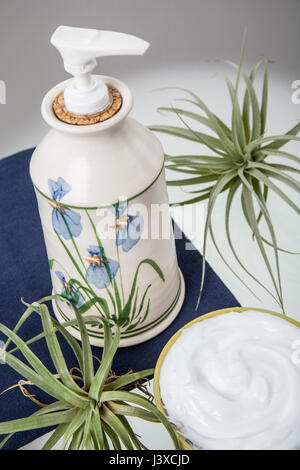 Lotion in an attractive pottery container surrounded by a bowl of lotion and air plants (Tillandsia Bromeliads) Stock Photo