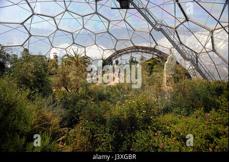 Inside the Eden project biodome Stock Photo