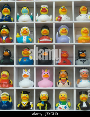 toy plastic ducks dressed for different careers Stock Photo