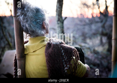 Rear view of mature woman sitting on woodland porch watching sunset Stock Photo