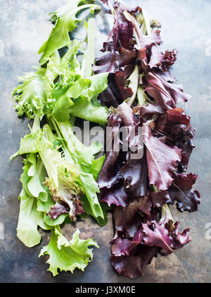 Red and green leaf lettuce Stock Photo