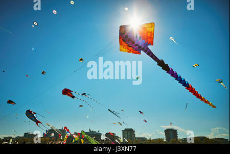 Colourful kites flying in blue sky, Rimini, italy Stock Photo