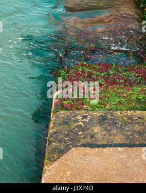 Steps covered in green algae leading down into the sea / water. Stock Photo