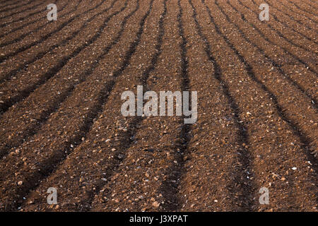 Close up abstract of ploughed soil in a field in Malta Stock Photo