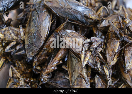 Water scorpion snacks for sale at a street side stall Stock Photo