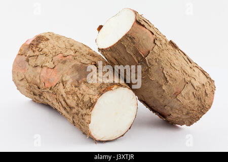 Cassava (Manihot esculenta) isolated in white background Stock Photo