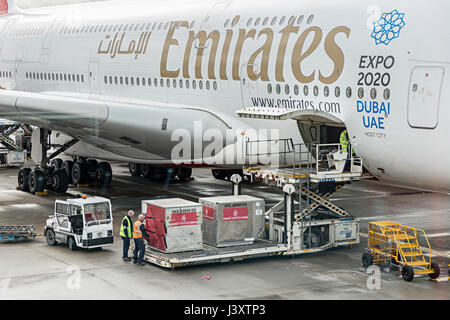 Loading cargo onto an Emirates flight to Dubai, Heathrow airport, London, UK Stock Photo