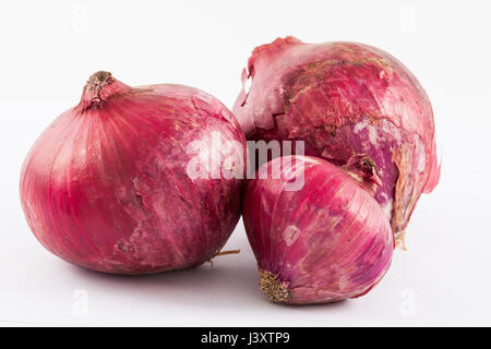 Red bulb onion (Allium cepa) isolated in white background Stock Photo