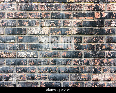 Section of red brick wall with distressed black painted bricks with peeling paint Stock Photo