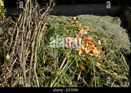 Recycling garden and kitchen waste on a compost heap including grass cuttings, carrot tops, bean stalks with both fruit and vegetable peelings. Stock Photo