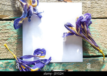 White paper on the wooden background with dried flowers Iris Stock Photo