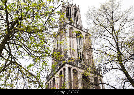 Dom Tower, Utrecht Stock Photo
