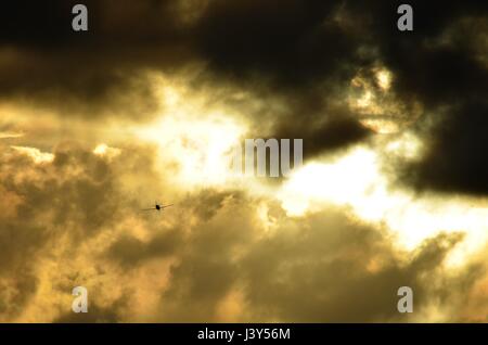 Flying in stormy sky. Small plane in flight between clouds of storm that cover the sun.Wings Stock Photo