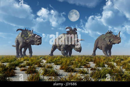 A Pachyrhinosaurus , A Albertaceratops & A Centrosaurus Dinosaurs.