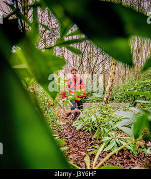 The team of volunteers with the Lowland Search and Rescue Dogs in action in West Sussex. Stock Photo