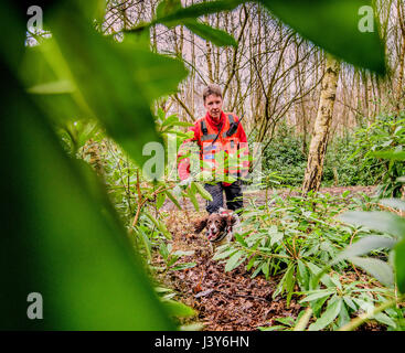 The team of volunteers with the Lowland Search and Rescue Dogs in action in West Sussex. Stock Photo