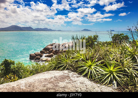 Plants and rocks by blue sea, Florianopolis, Santa Catarina, Brazil Stock Photo