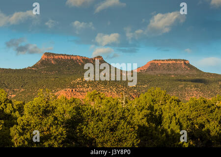 Bears Ears Buttes and the surrounding pinyon-juniper forest in Bears Ears National Monument, viewed from within Natural Bridges National Monument, sou Stock Photo