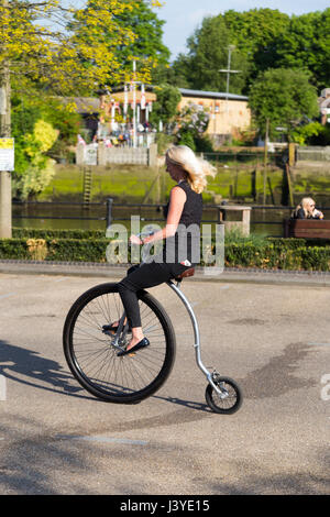 Woman / lady / female riding a modern Pennyfarthing / penny Farthing bicycle cycle/ bike on a sunny day with blue sky / skies. UK Stock Photo