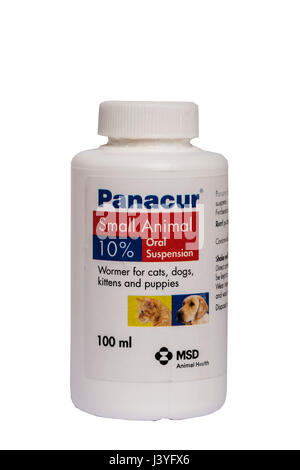 A tub of Panacur small animal wormer for worming cats,dogs,kittens & puppies on a white background Stock Photo