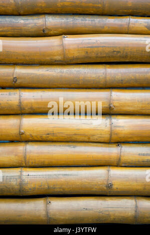 Bamboo texture full frame background vertical close-up Stock Photo