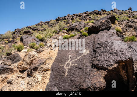 A close up view of petroglyphs at Petroglyph National Monument, New Mexico, United States Stock Photo