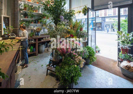 Florists shop at entrance. Ace Hotel Shoreditch, London, United Kingdom. Architect: EPR Architects Limited, 2016. Stock Photo