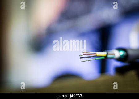 Fiber optics cable in front of computer isolated with blurry background. Fiber to the home internet - FTTH Stock Photo