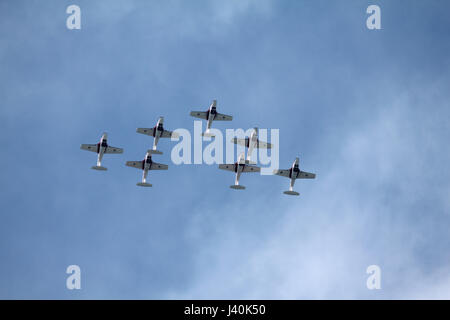 Canadian snowbirds flying in formation at an airshow. Soaring through the sky. Stock Photo