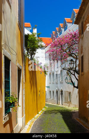 Spring typical Lisbon street, Portugal Stock Photo
