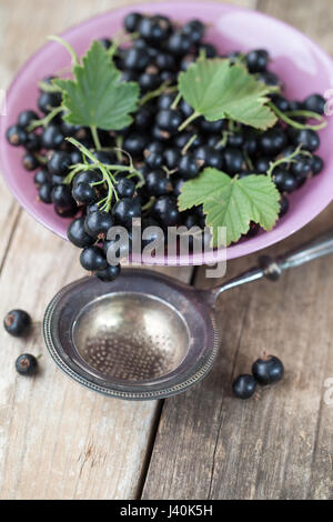 Pink glass bowl filled with fresh black currants and leaves Stock Photo