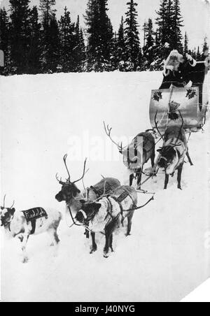 Santa Clause in a silvery sleigh, being pulled by five, live Reindeer.  They are going down a snowy hillside, a forest of live evergreen trees behind them.  Santa's sleigh has holly and bells painted on its front.  To see my other Christmas-related vintage images, Search:  Prestor  vintage  holiday  vehicle Stock Photo