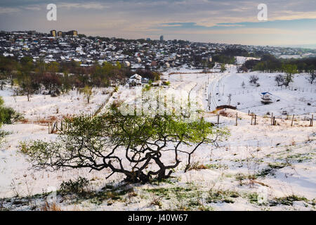 Trees on the spring hills covered with snow. Ukraine Dnepropetrovsk Stock Photo