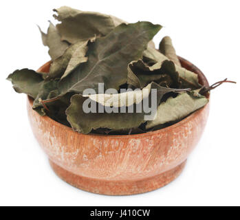 Dry holy basil or tulsi leaves in a wooden bowl Stock Photo