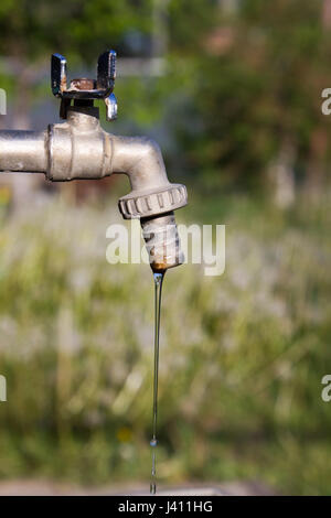 Brass water tap in nature background. Stock Photo