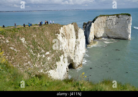 Old Harry rocks, a series of chalk sea stacks off the Dorset coast at Studland Stock Photo