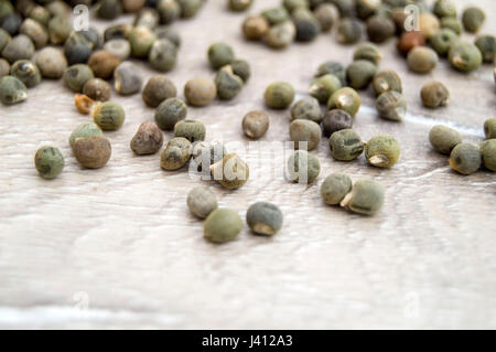 Ready to plant very clearly with white back ground okra seeds, okra seeds in the plate, Stock Photo