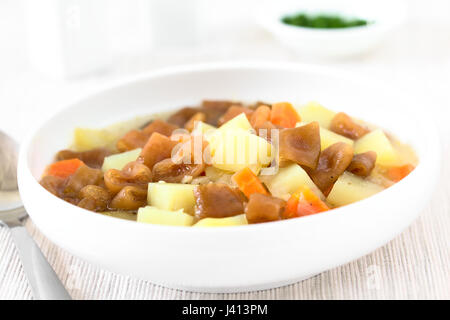 Traditional Chilean Estofado or Guiso de Cochayuyo (lat. Durvillaea antarctica), a vegan stew of bull kelp, potato, carrot and onion Stock Photo