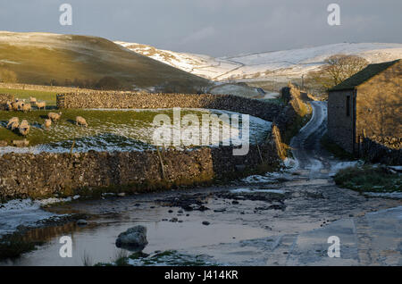 Icy ford across stream near Malham, Yorkshire Dales. Dry stone walls and barn, road over snow covered hills, sheep in winter evening sun. Stock Photo