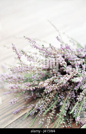 Calluna vulgaris (known as common heather, ling, or simply heather) on wooden background closeup Stock Photo