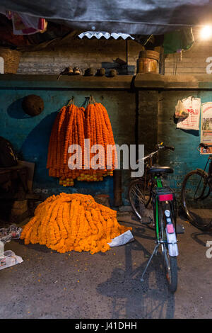 Strands of marigolds ready for sale. Located in Kolkata, the market is held every morning: it takes place near the southeast end of Howrah Bridge and  Stock Photo