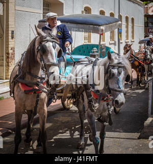 Horse Carriage with two horses on Princess Islands, Buyukada Island, Istanbul, Turkey Stock Photo